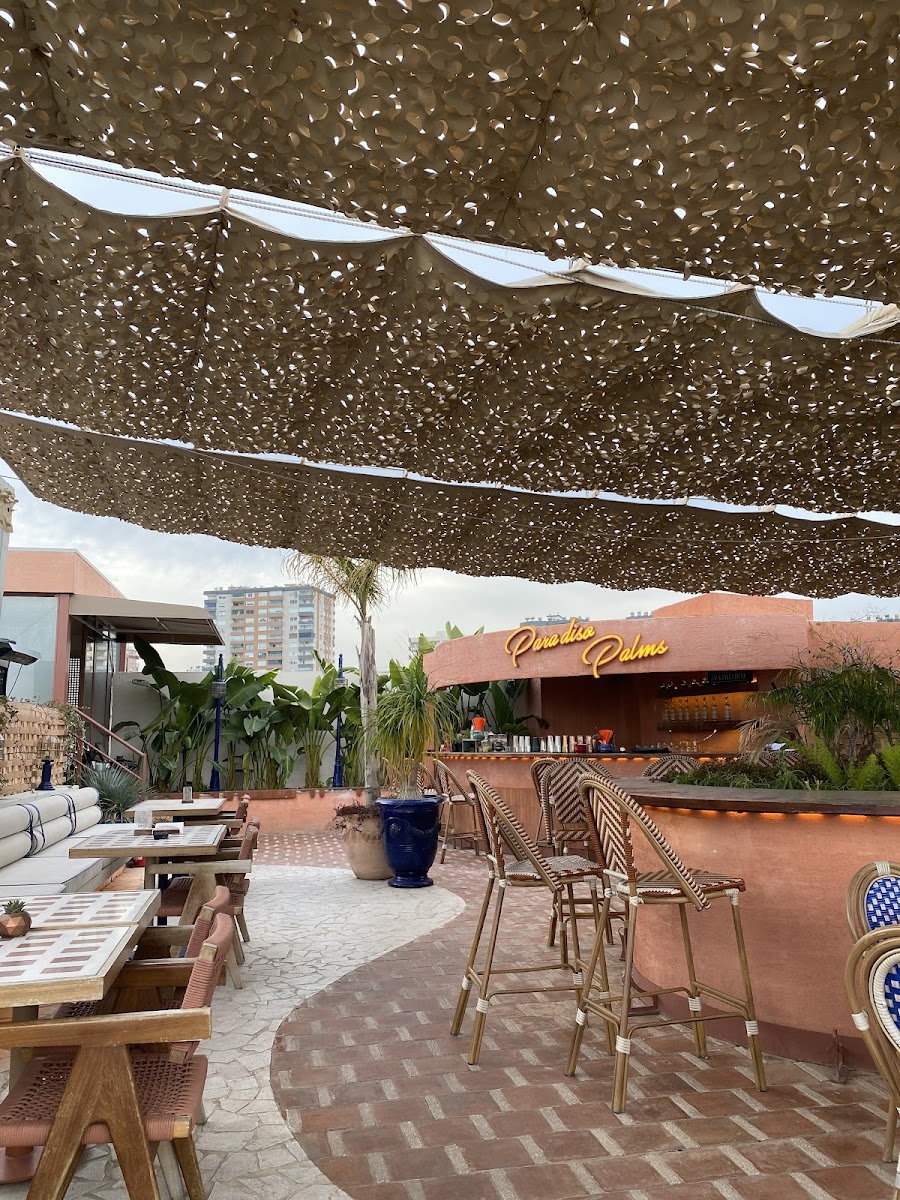 Paradiso Palms Gastrobar Photos 2